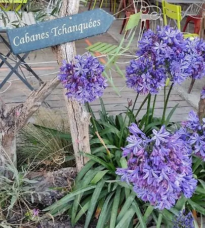 La Bohème, Bassin D'arcachon