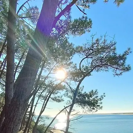 Alojamento de Acomodação e Pequeno-almoço La Bohème, Bassin D'arcachon