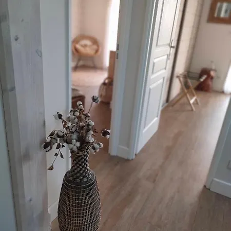 B&B La Boheme, Bassin D'arcachon 구장메스트라