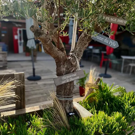Couette-café La Bohème, Bassin D'arcachon *