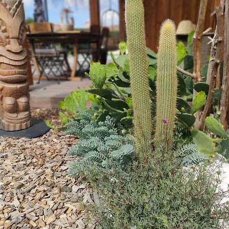 La Bohème, Bassin D'arcachon Gujan-Mestras