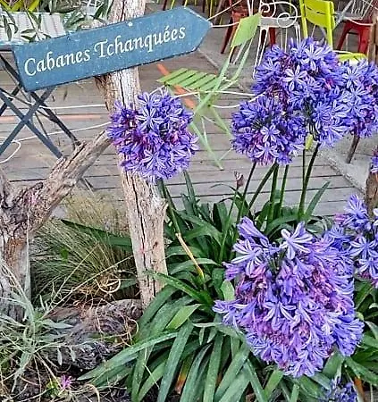 B&B La Boheme, Bassin D'arcachon 4*