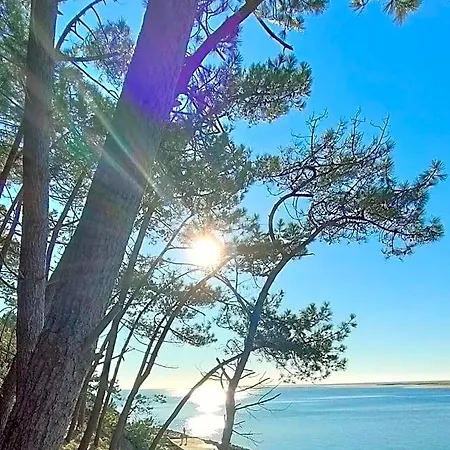 La Boheme, Bassin D'arcachon B&B 구장메스트라