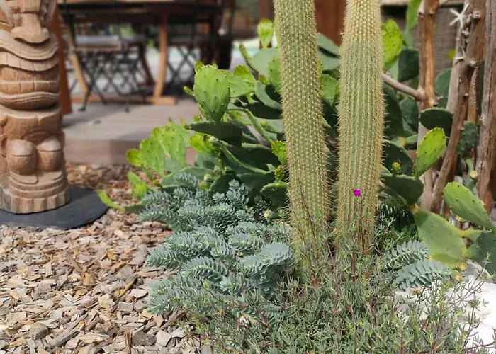 La Boheme, Bassin D'arcachon Gujan-Mestras